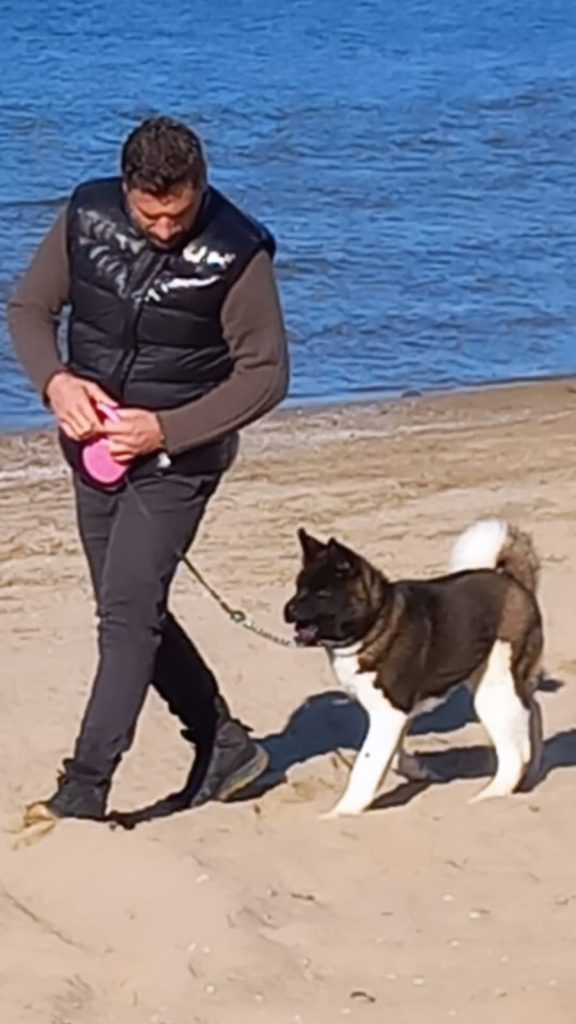 K9 Köpek Eğitim Merkezinde temel itaat eğitimi