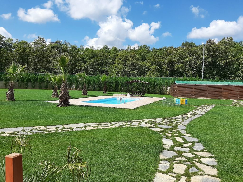 istanbul köpek eğitimi görsel 4