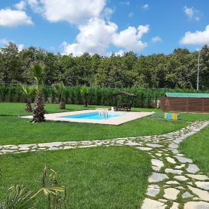 istanbul köpek eğitimi görsel 4