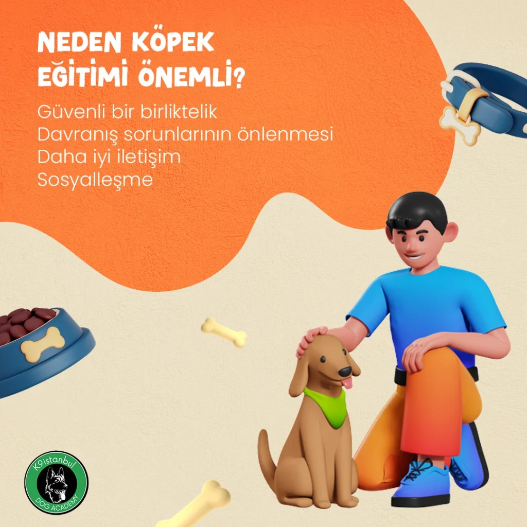 Yavru Köpek Eğitimi